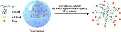 Multi-Responsive Silk Fibroin-Based Nanoparticles for Drug Delivery